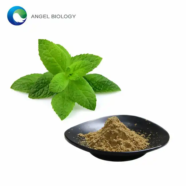 Marrubium Vulgare Extract